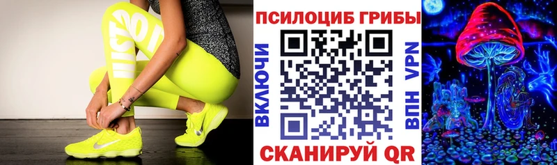 Галлюциногенные грибы Psilocybe Купить где Гремячинск