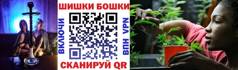 Купить закладки  Гремячинск  Шишки марихуана тримм 